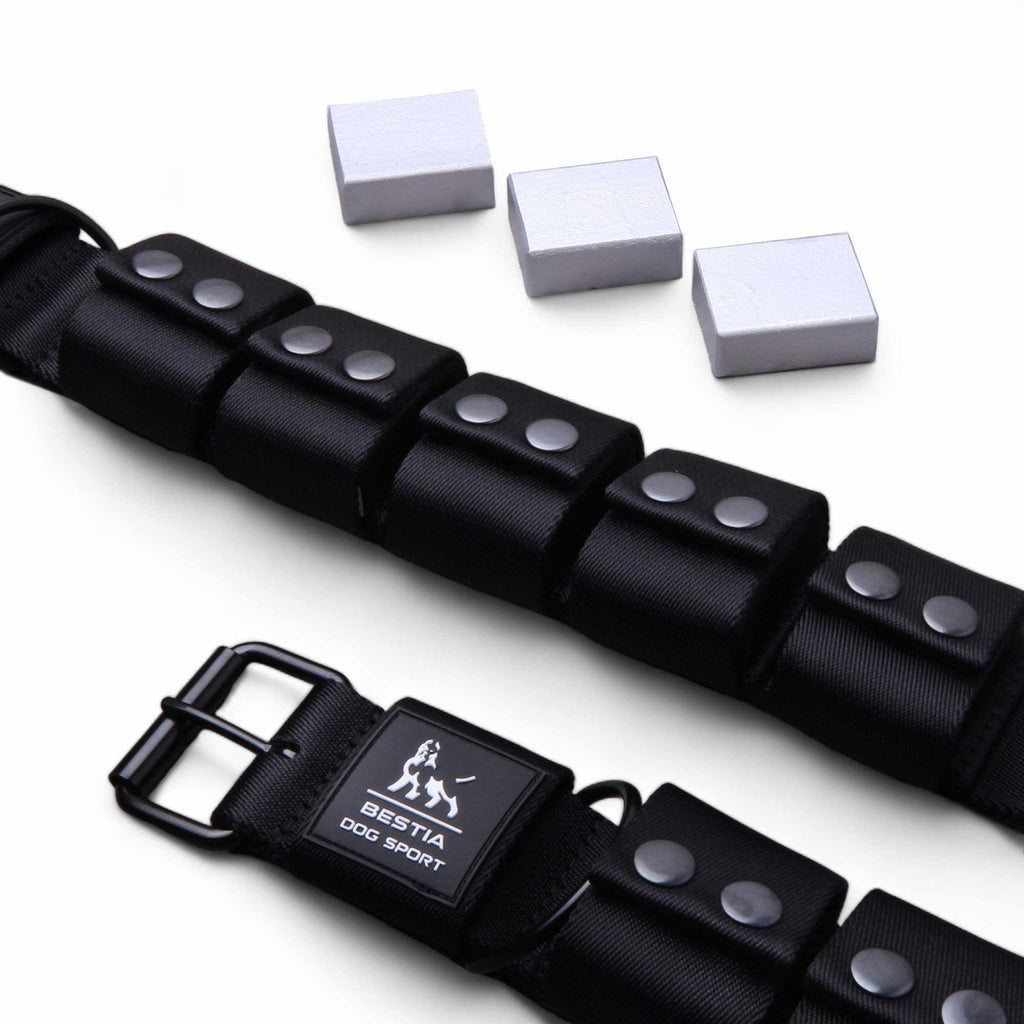Gewichtetes Trainings-Hundehalsband - Für Große Rassen mit Abnehmbaren Gewichten | BESTIA