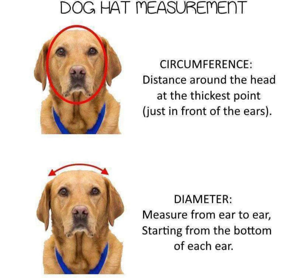 Haustier-Hut Pink - Niedlicher Hut für Hunde & Katzen