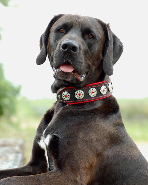 "Bijou" Hundehalsband Schwarz & Rot - Premium Lederhalsband von BESTIA