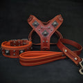 "EROS" BIG Dog SET - Geschirr, Halsband & Leine in Braun & Orange | BESTIA