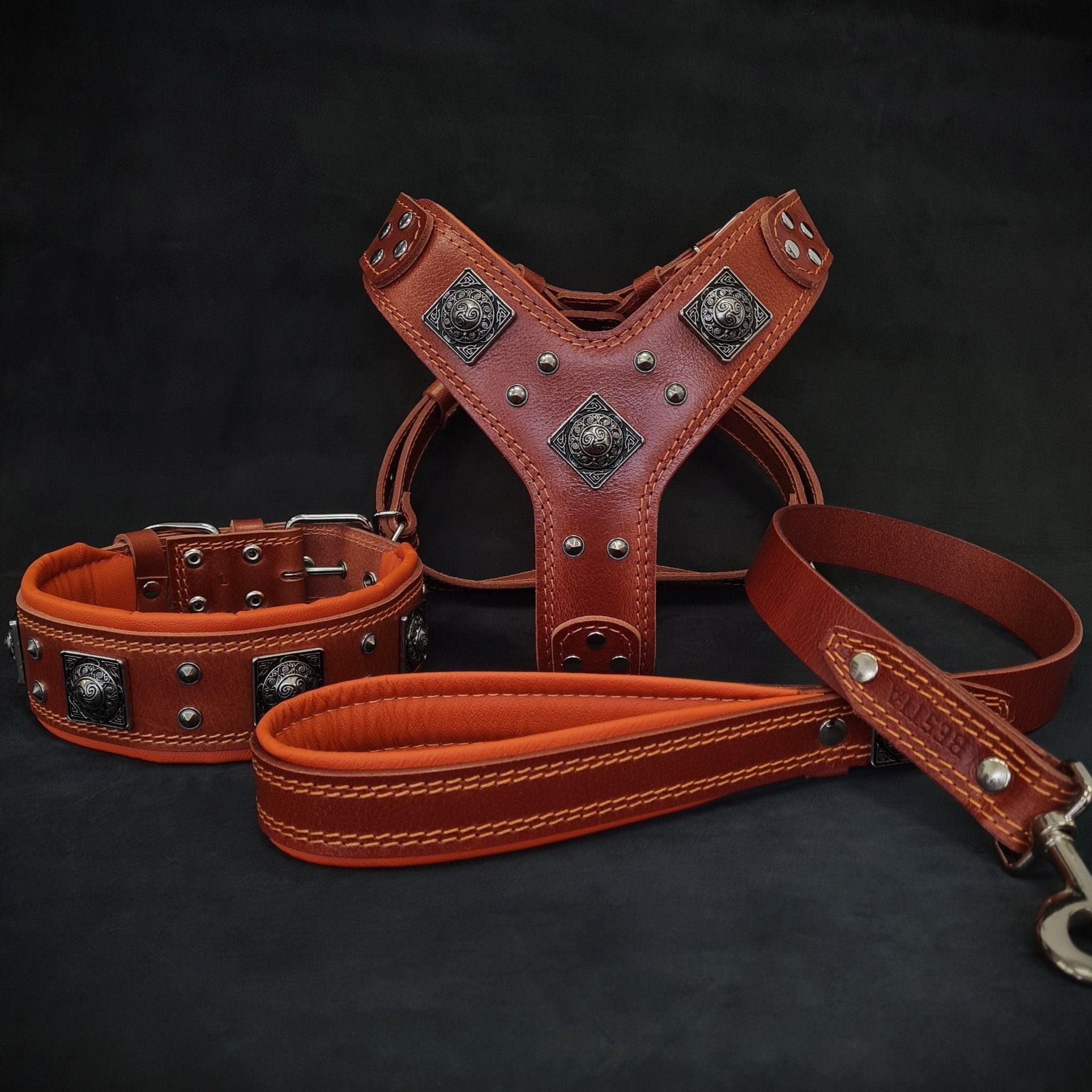"EROS" BIG Dog SET - Geschirr, Halsband & Leine in Braun & Orange | BESTIA
