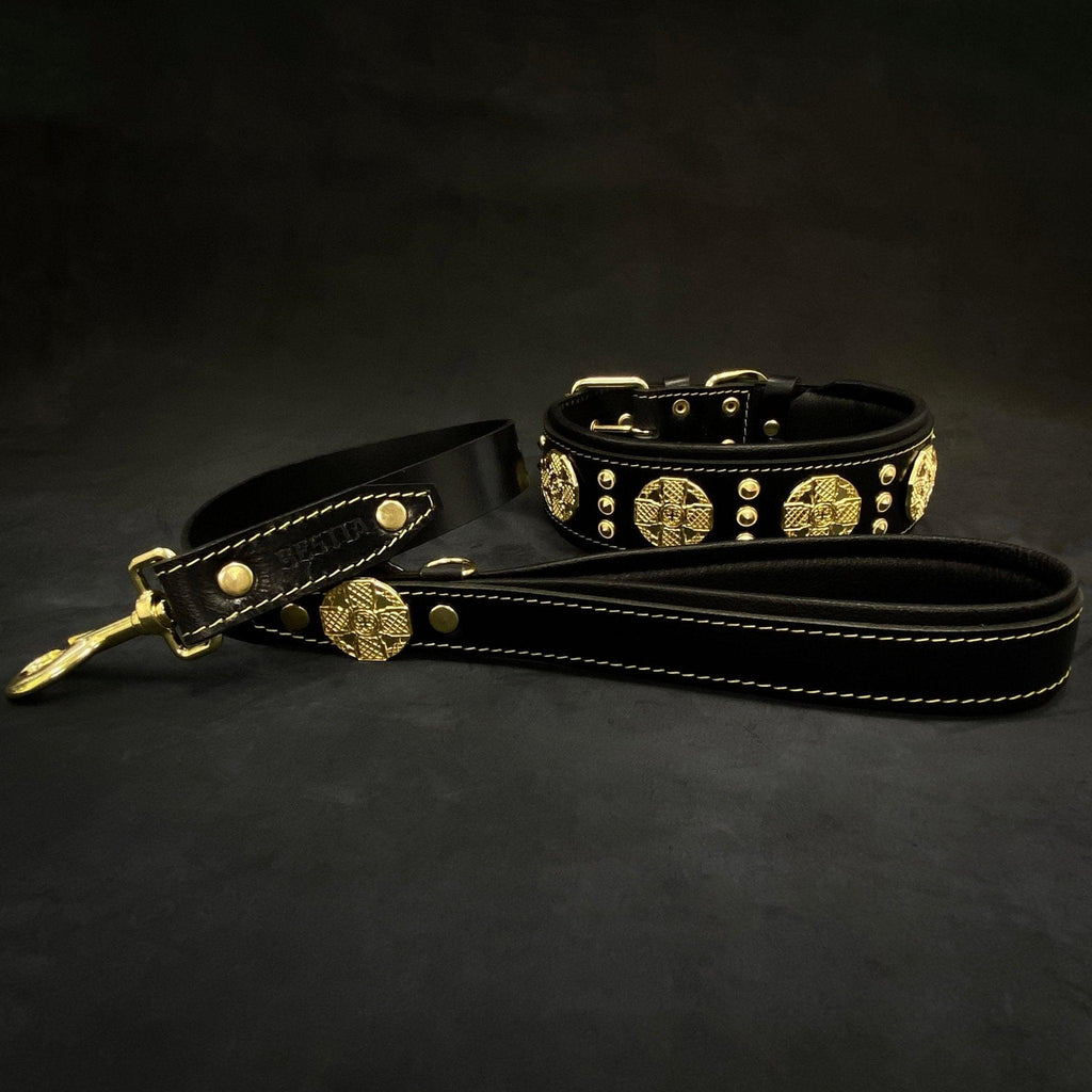 "Maximus" Hundehalsband 2,5 Zoll Breit Schwarz & Gold - Premium Lederhalsband von BESTIA